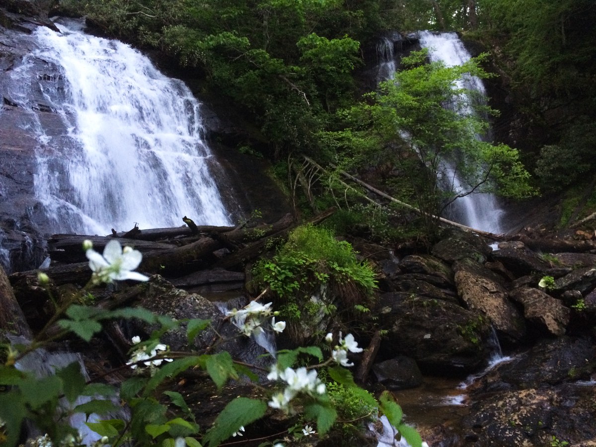 Anna Ruby Falls cascading through the forest
